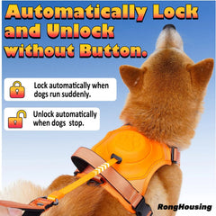 Dog Harness and Automatic Retractable Leash Kit